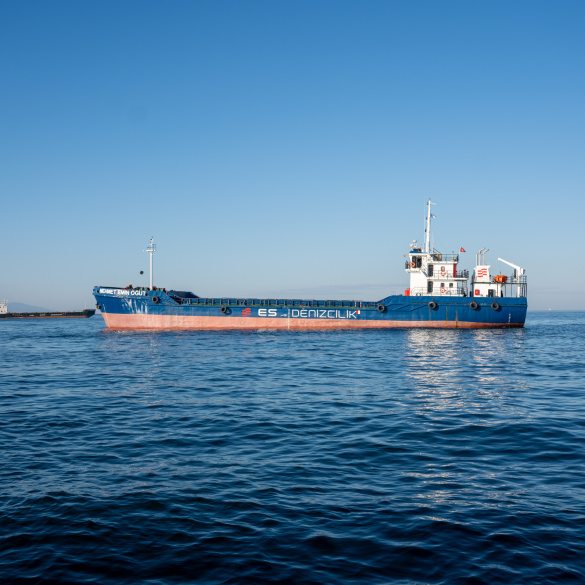 Mehmet Emin Öğüt, Ali Kerem Öğüt, Zeynep Sahra, dökü gemileri, deniz filosuna katıldı.